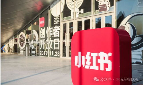 小紅書武漢公司遷至上海并更名