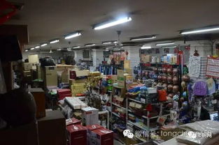 桃花綻放迎客來 秦人村落笑聲多