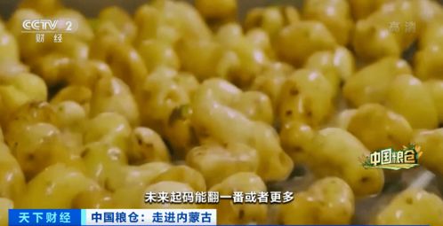 種子革命 常見作物身價倍增，百億產業背后的科技密碼